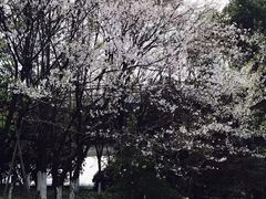 -钱江新城