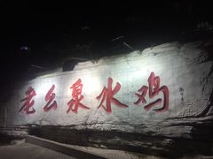 -老幺泉水鸡
