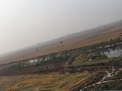 -稻梦空间