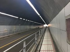 -张阿三馄饨店
