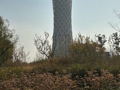 -上海滨江森林公园