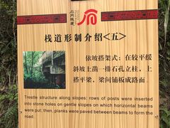 -汉中石门栈道风景区