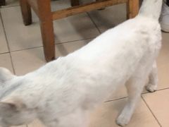 -甜甜屋(解放中路店)