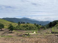-东天目山风景区