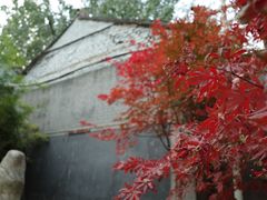 -关中书院
