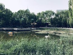 -文瀛公园