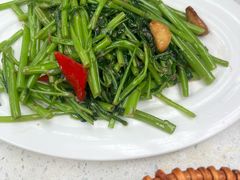 -肥仔文澳门猪骨煲(南京西路店)