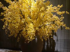 -花城粤菜餐厅(高新区店)