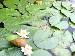 -日出青木·杭帮菜名店