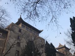 -武汉大学-樱园