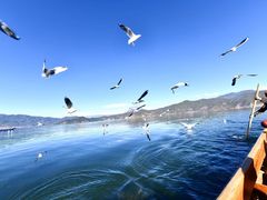 -丽江泸沽湖景区