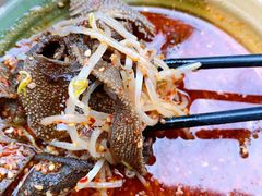 -高记什邡肖麻辣(成都店)