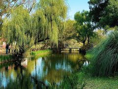 -上海共青森林公园