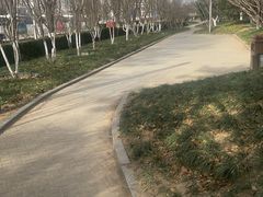 -元大都城垣遗址公园