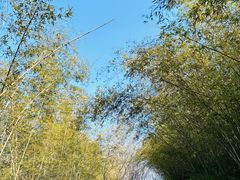 -南京市无想山景区