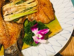 -紫滇源云南生态菜(丹凤街店)