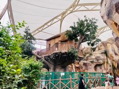 -杭州开元森泊度假乐园