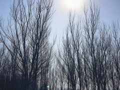 -东郊湿地公园