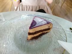 -Husky Go! 哈士奇体验馆·宠物咖啡厅狗咖