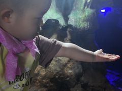 -陶祖圣境风景区