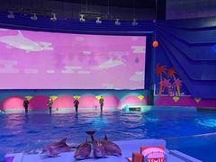 -南昌融创海世界