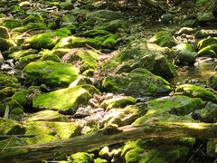-关门山森林公园