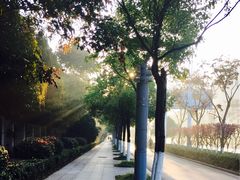 -南京奥林匹克体育中心-体育馆