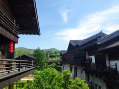 -大唐贡茶院
