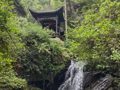 -江西阳明山国家森林公园