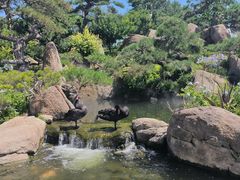 -罗红摄影艺术馆