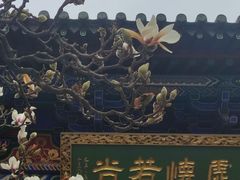 -真庆观