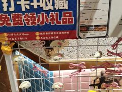 -姜胖胖无限自助烤肉(弹子石店)