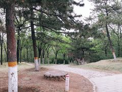 -云岗森林公园