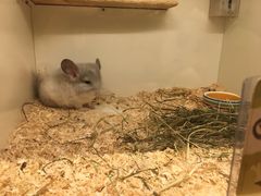 -龙猫仔乐园(惠福东路店)