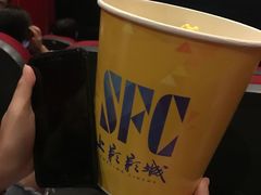 -SFC上影影城(新世界店)