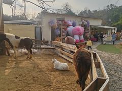 -HERRE·FARM 赫尔露营农场·团建聚会包场