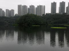 -重庆彩云湖湿地公园