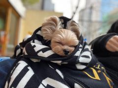 -小龍鳳餐室(番禺路店)