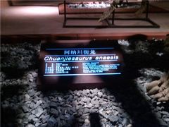 -世界恐龙谷景区