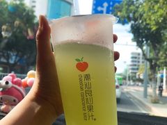 柠檬苦瓜-潮汕良心果汁(金新北路店)
