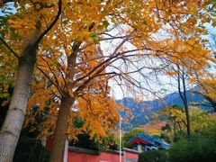 -青岛崂山太清宫