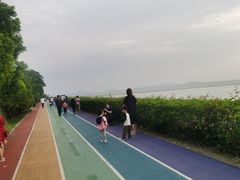 -贡湖湾湿地公园