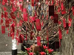 -上海苏宁宝丽嘉酒店·嘉府壹号中餐厅