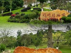 -东莞植物园