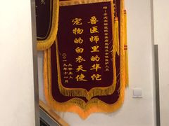 -安安宠医·安宠宠物医院