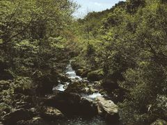 -溪口-滕头旅游景区