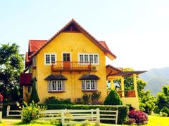 -黄色小屋