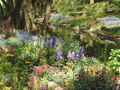 -上海共青森林公园