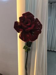 -Dr·Jane皮肤管理中心