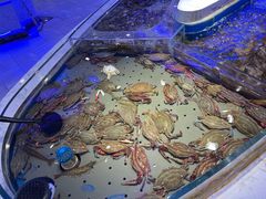 -澜悦港海鲜体验主题餐厅